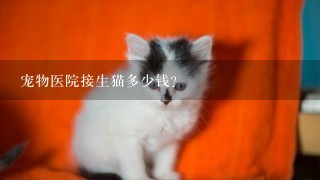 宠物医院接生猫多少钱？