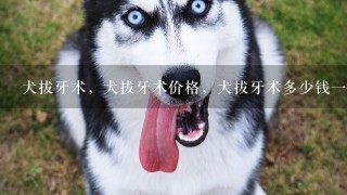 犬拔牙术，犬拔牙术价格，犬拔牙术多少钱1只，犬拔