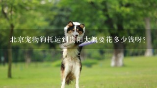 北京宠物狗托运到贵阳大概要花多少钱呀？