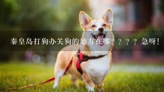 秦皇岛打狗办关狗的地方在哪？？？？急呀！！！！！