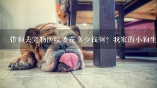 带狗去宠物医院要花多少钱啊？我家的小狗生病了，什么都不吃？