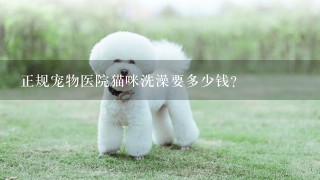 正规宠物医院猫咪洗澡要多少钱?