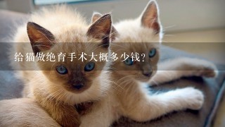 给猫做绝育手术大概多少钱?