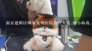 南京建邺区哪家宠物医院治疗犬瘟,细小病毒,价格便宜,治愈率高,最好24小时营业的