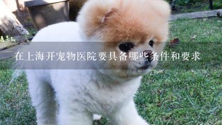 在上海开宠物医院要具备哪些条件和要求