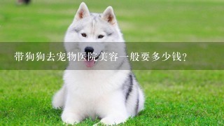 带狗狗去宠物医院美容1般要多少钱？