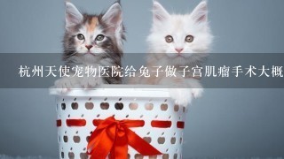杭州天使宠物医院给兔子做子宫肌瘤手术大概要多少钱很急！！！