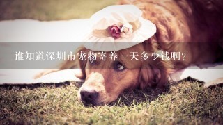 谁知道深圳市宠物寄养1天多少钱啊?