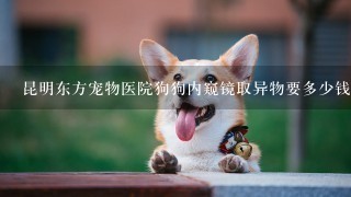 昆明东方宠物医院狗狗内窥镜取异物要多少钱？