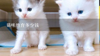 猫咪绝育多少钱