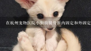 在杭州宠物医院小狗前腿骨折内固定和外固定分别要多少钱
