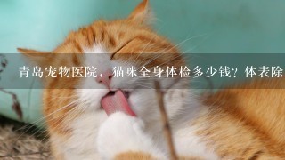 青岛宠物医院，猫咪全身体检多少钱? 体表除虱，体内除虱大概多少钱?