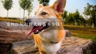 宠物医院打狂犬疫苗多少钱？