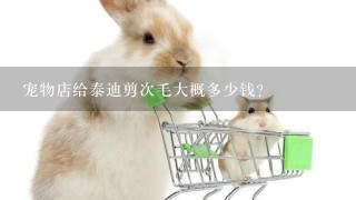 宠物店给泰迪剪次毛大概多少钱？