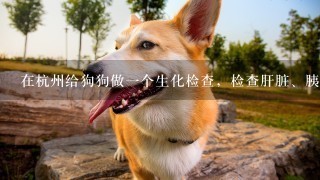 在杭州给狗狗做1个生化检查，检查肝脏、胰腺、脾，需要多少钱？有么有推荐1家价钱比较合理的宠物医院
