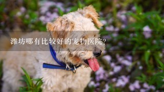 潍坊哪有比较好的宠物医院？