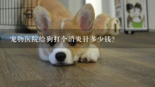 宠物医院给狗打个消炎针多少钱？