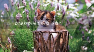 去1次宠物医院看病贵不贵?