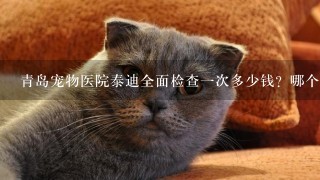 青岛宠物医院泰迪全面检查1次多少钱？哪个宠物医院最好