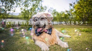 深圳新瑞鹏宠物医院怎么样？电话是多少 ？