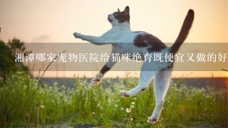 湘潭哪家宠物医院给猫咪绝育既便宜又做的好？