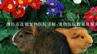 潍坊市连锁宠物医院详解;宠物医院数量及服务水平介绍