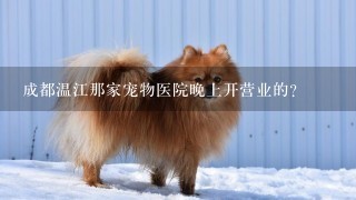 成都温江那家宠物医院晚上开营业的？