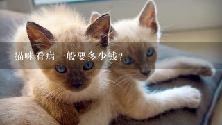 猫咪看病1般要多少钱？