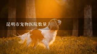 昆明市宠物医院数量