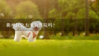 衢州巨化有宠物医院吗？