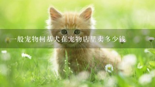 1般宠物柯基犬在宠物店里卖多少钱