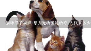 猫咪得了猫癣 想去宠物医院治疗 大概要多少钱 需要打针隔离么