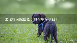 去宠物医院给兔子剪指甲多少钱？