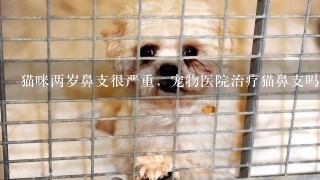 猫咪两岁鼻支很严重，宠物医院治疗猫鼻支吗