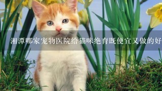 湘潭哪家宠物医院给猫咪绝育既便宜又做的好？