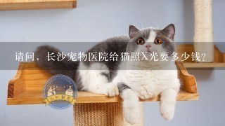 请问，长沙宠物医院给猫照X光要多少钱？