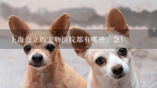 上海公立的宠物医院都有哪些，急！