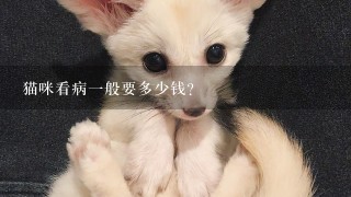 猫咪看病1般要多少钱？