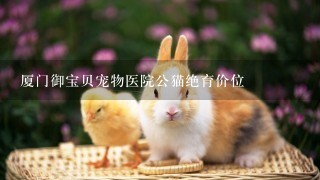 厦门御宝贝宠物医院公猫绝育价位