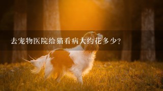 去宠物医院给猫看病大约花多少？