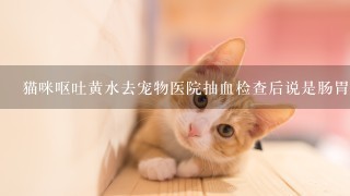 猫咪呕吐黄水去宠物医院抽血检查后说是肠胃问题，打针治疗了3天，猫咪回家后1直没精神发呆怎么回事啊？