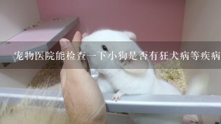 宠物医院能检查1下小狗是否有狂犬病等疾病吗？花费多少？