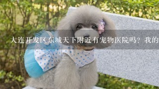 大连开发区东城天下附近有宠物医院吗？我的狗狗眼睛里长个红包，手术得多少钱？