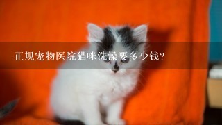 正规宠物医院猫咪洗澡要多少钱?