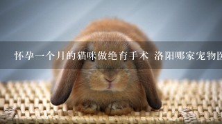 怀孕1个月的猫咪做绝育手术 洛阳哪家宠物医院比较好 总共费用大概是多少 谁家有经验 本人比较急！！！！