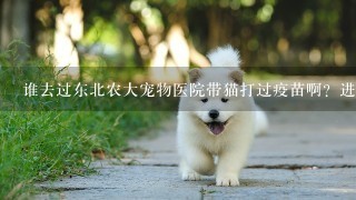 谁去过东北农大宠物医院带猫打过疫苗啊？进口疫苗那里多少钱1只啊？