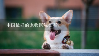 中国最好的宠物医院在哪?