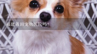 福建莆田宠物医院吗？