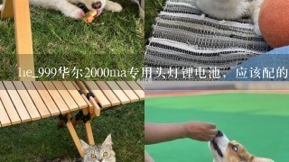 he_999华尔2000ma专用头灯锂电池，应该配的充电器