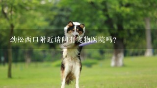 劲松西口附近请问有宠物医院吗？